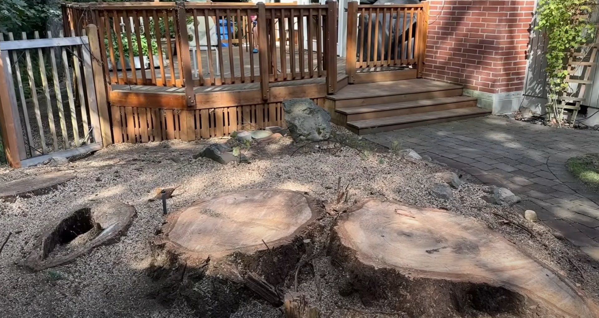 Professional stump grinding showing before and after results in residential backyard