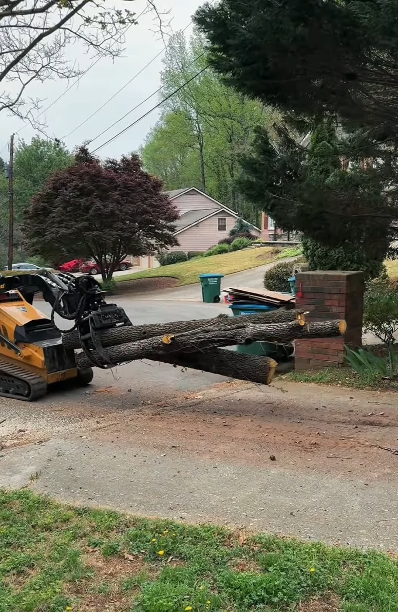 Dearborn Tree Services professional equipment for safe tree removal Professional tree removal equipment including skid steer and large tree logs in residential area