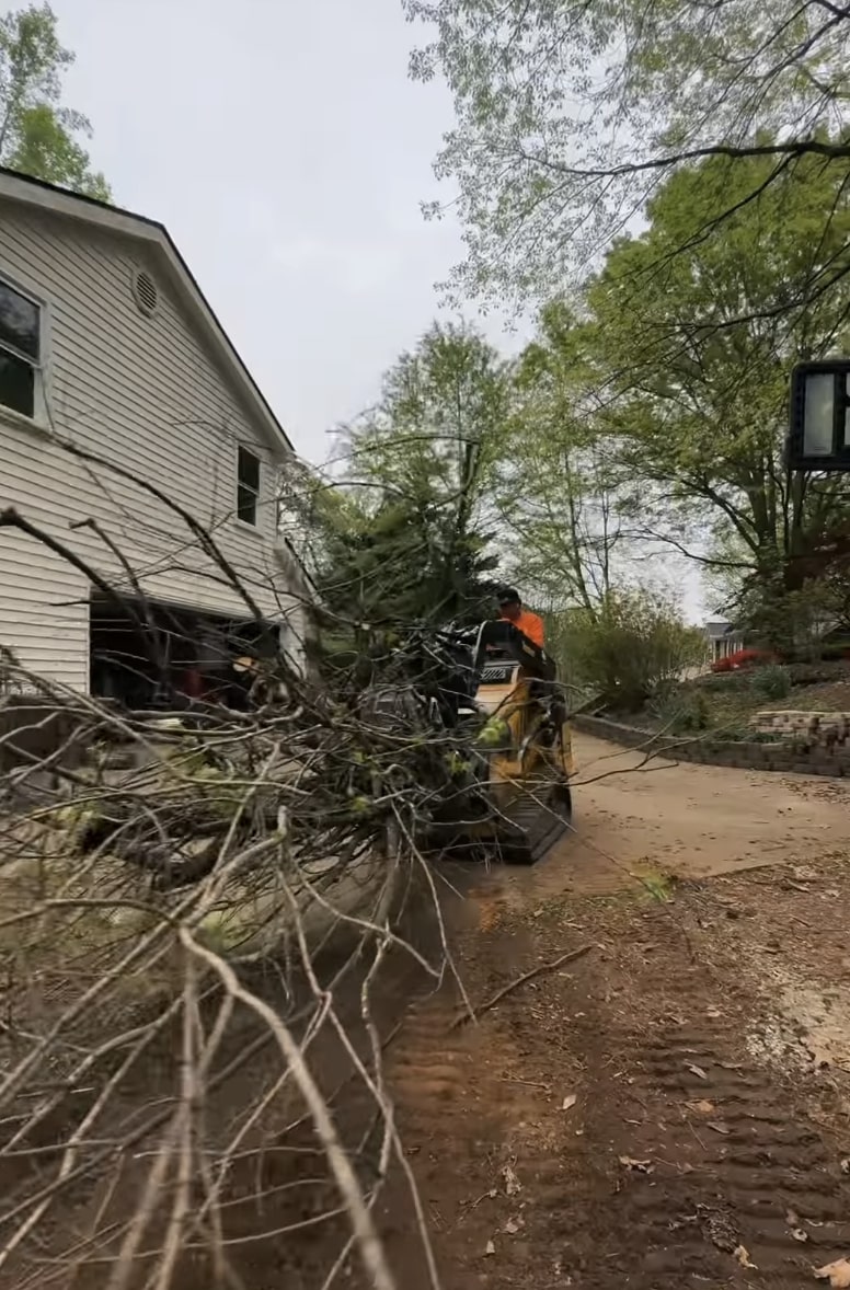 Emergency tree cleanup with professional equipment and safety protocols