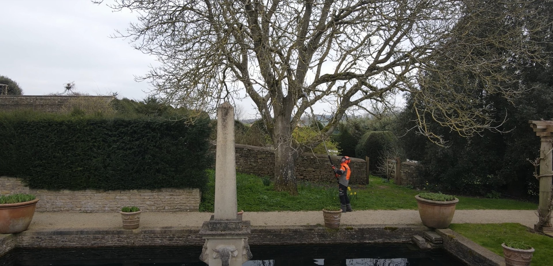 Expert tree removal and stump grinding services near landscaped areas Professional tree service worker removing large tree near stone wall and garden area