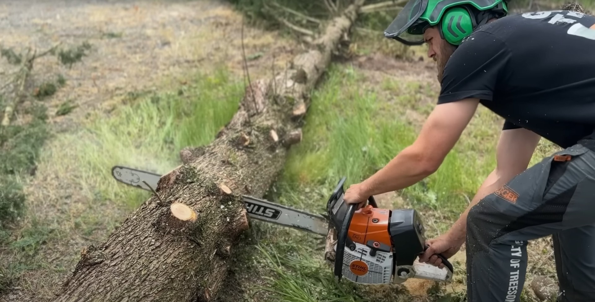 Expert tree cutting and removal services by Dearborn Tree Services Professional arborist using chainsaw for precision tree cutting in natural outdoor setting