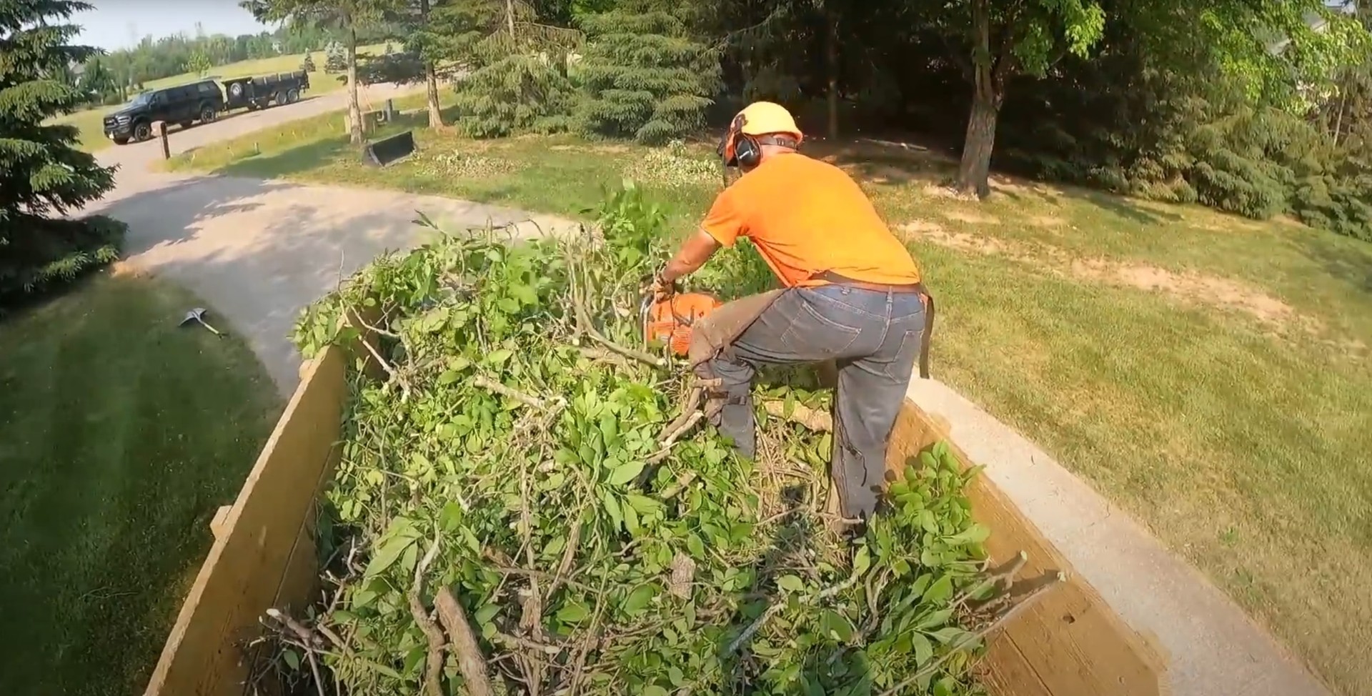 Professional shrub trimming and vegetation management Tree service professional using chainsaw for shrub and vegetation clearing
